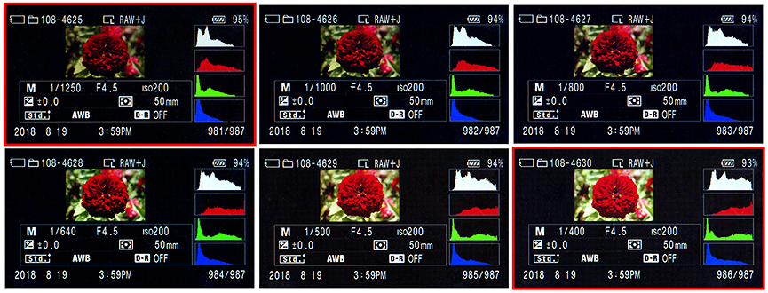 In-camera histograms for shots 4625 - 4630