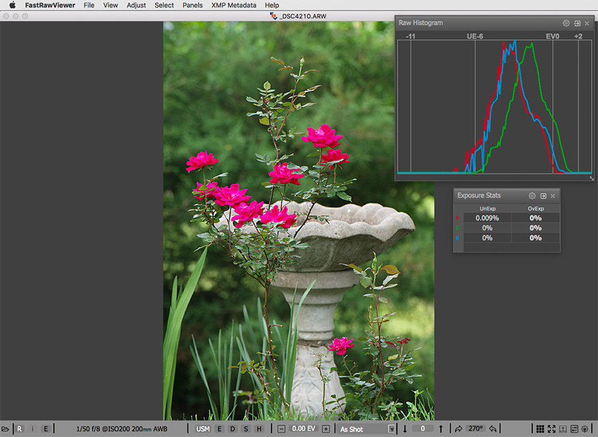 The same shot of red roses. RAW and RAW histogram