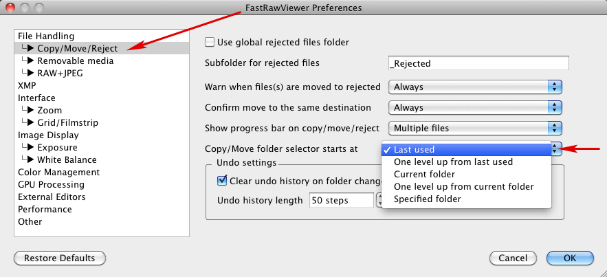 FastRawViewer 1.3.8. Copy/Move folder selector start at