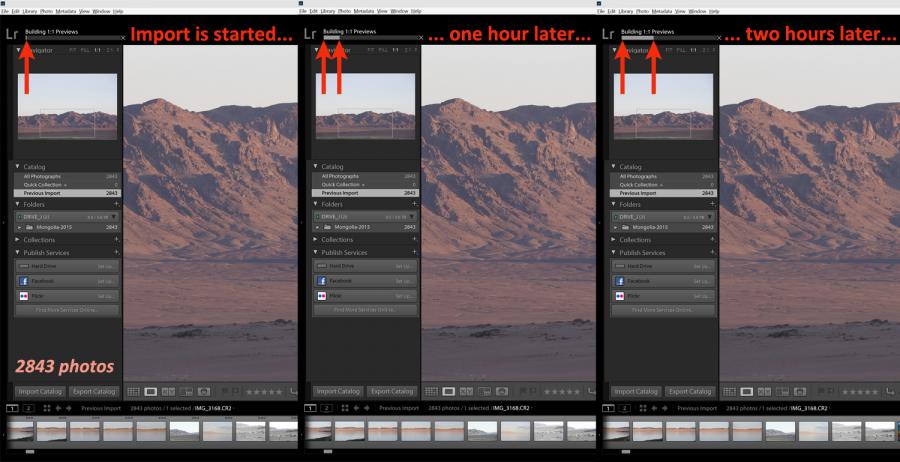First stage of culling with a raw converter - import all images