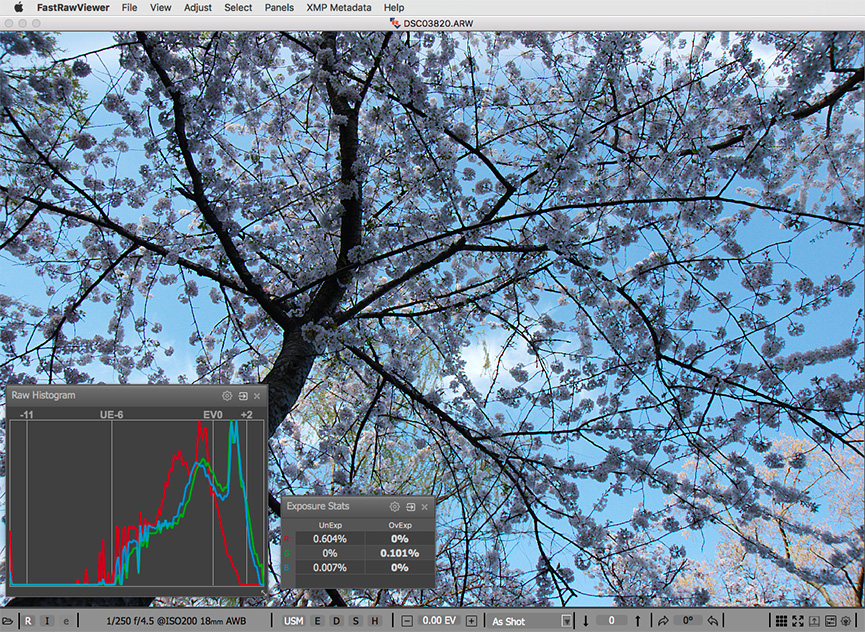 The same shot of blue sky. RAW and RAW histogram