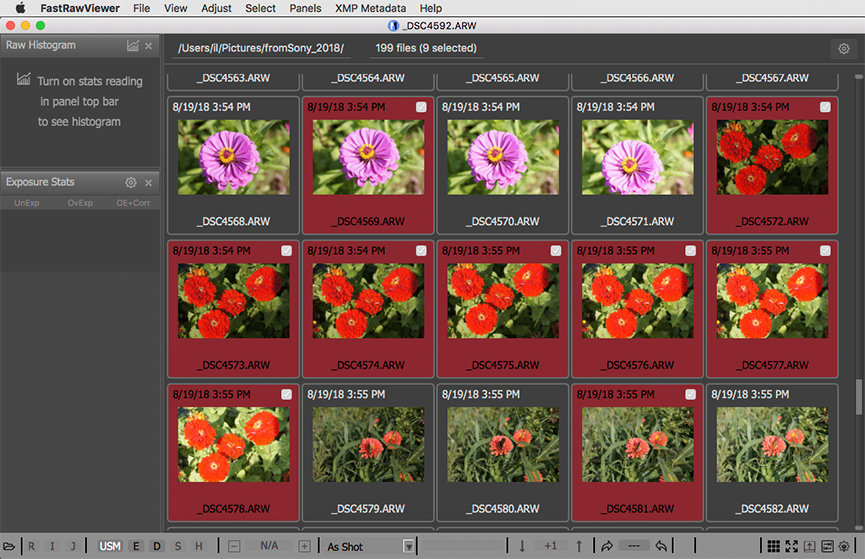 FastRawViewer. Sorting Photos. Add Files to a Group of Selected Files