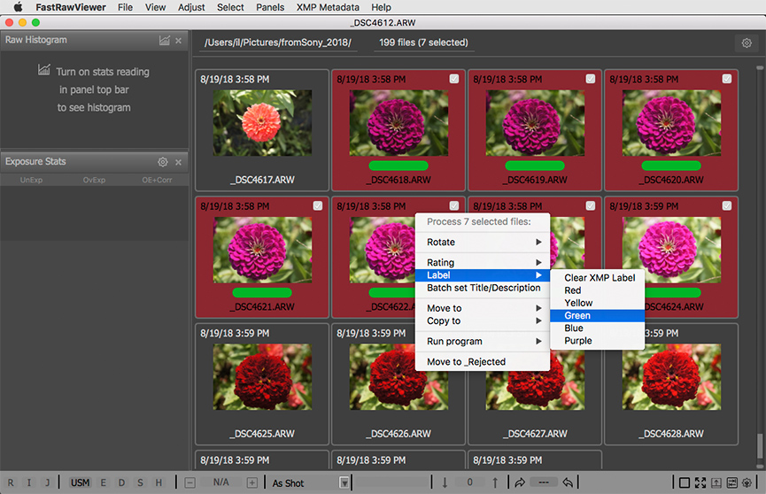 FastRawViewer. Sorting Photos. Assigning Metadata to a Group of Files
