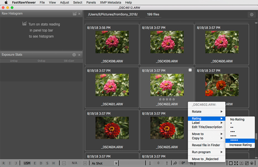 FastRawViewer. Sorting Photos. Assigning Metadata to a Single File
