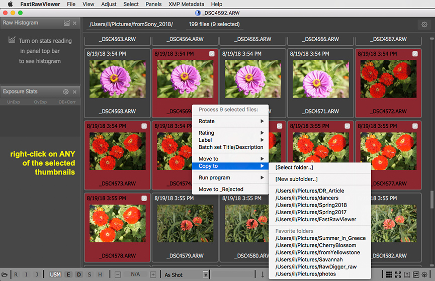 /FastRawViewer. Sorting Photos. Copy a Group- of Files
