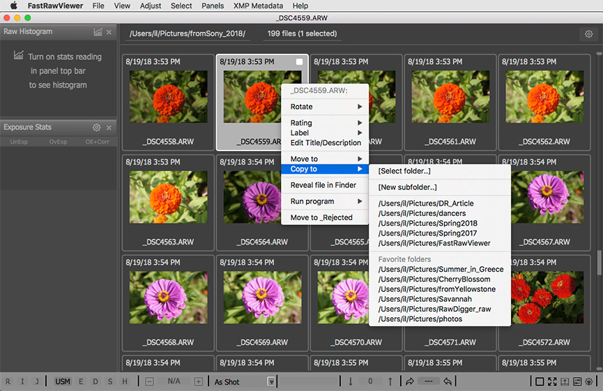 FastRawViewer. Sorting Photos. Copy a single file.