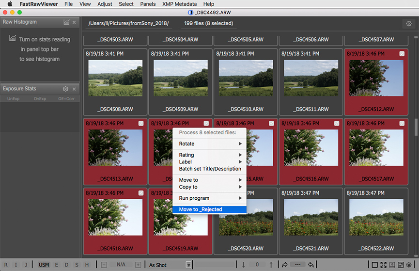 FastRawViewer. Sorting Photos. Move to _Rejected Subfolder a Group of Files