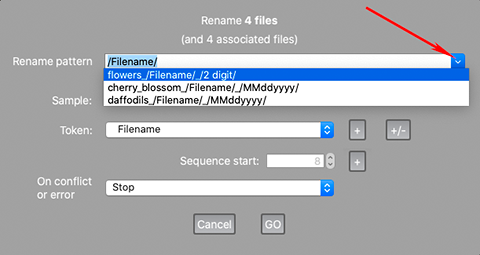 FastRawViewer 2.0. Renaming files. Enable history