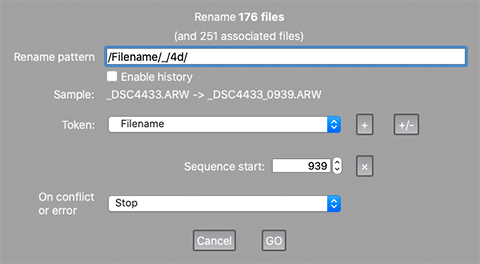 FastRawViewer 2.0. Renaming multiple files