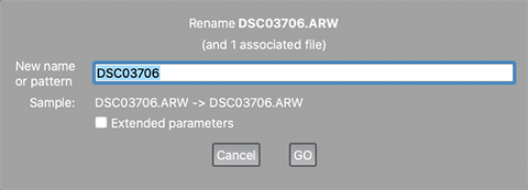 FastRawViewer 2.0. Renaming one file
