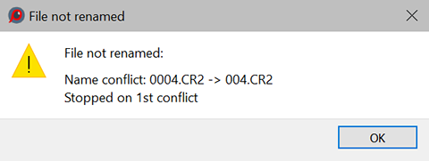 FastRawViewer 2.0. Renaming files. Stop on error