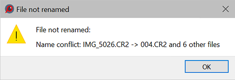 FastRawViewer 2.0. Renaming files. Error