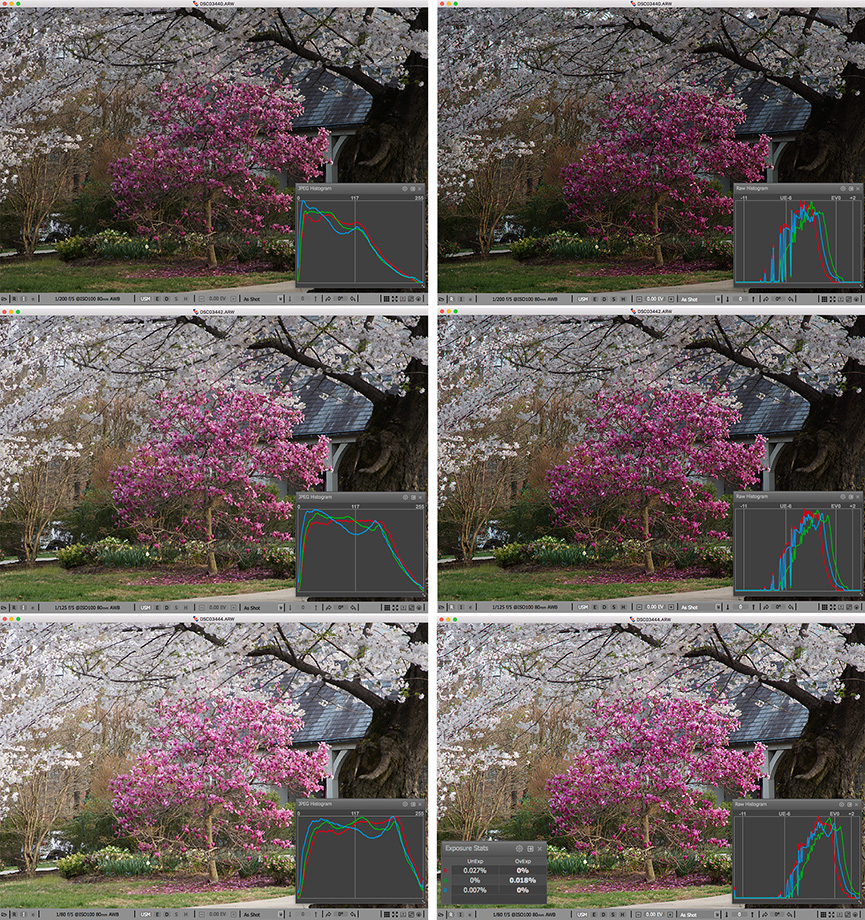 Culling based on JPEG histograms vs RAW histograms