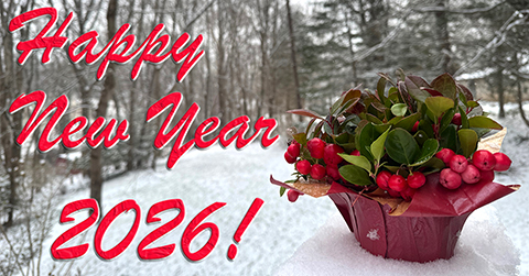 LibRaw. Holidays Season Sale. 25% off