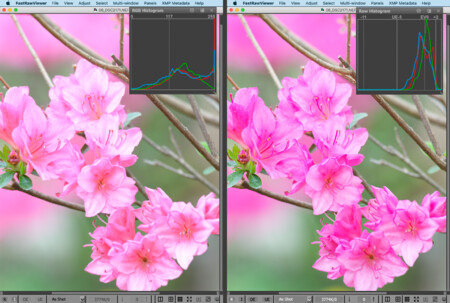 FastRawViewer azaleas RAW and Embedded JPEG View Compare