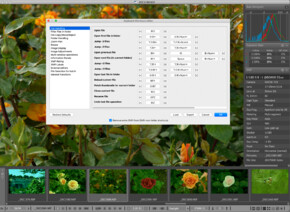 FastRawViewer Keyboard Shortcut Editor