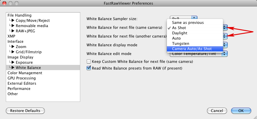 FastRawViewer 1.3.9. Camera Auto WB. Next file. Preferences