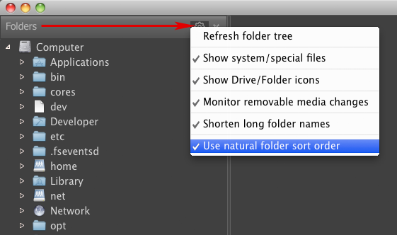FastRawViewer 1.3.8. Folder Panel. File Sorting Order