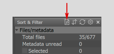 FastRawViewer 1.4 Sort and Filter Panel. Search for File