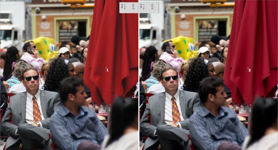 Sony a55: embedded JPEG vs. ACR render - red umbrella